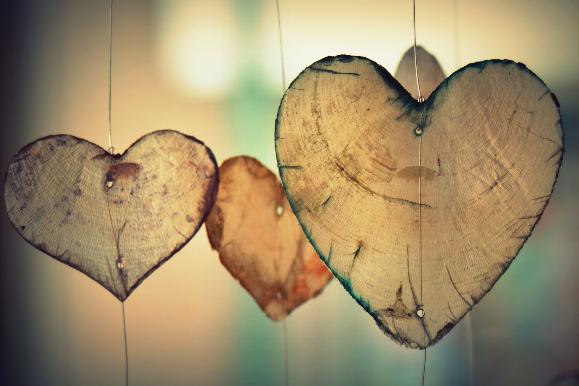 Met Valentijnsdag gister …